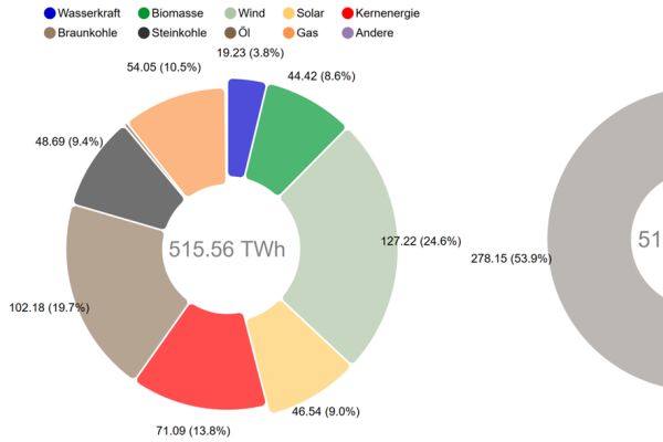 Die Grafik zeigt die Nettostromerzeugung aus Kraftwerken zur öffentlichen Stromversorgung im Jahr 2019 in Deutschland.