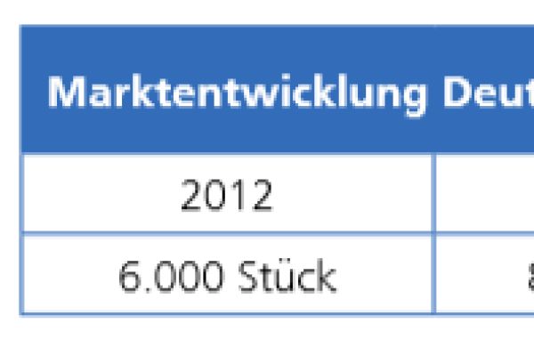 Die Tabelle zeigt die Marktentwicklung für KWK-Anlagen bis zu einer elektrischen Leistung von 50 kW in Deutschland von 2012 bis 2019.