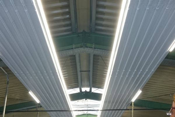 LED-Leuchten an einer Deckenstrahlplatte in einer Industriehalle.