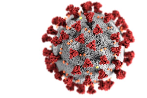 Das Bild zeigt einen Corona-Virus.