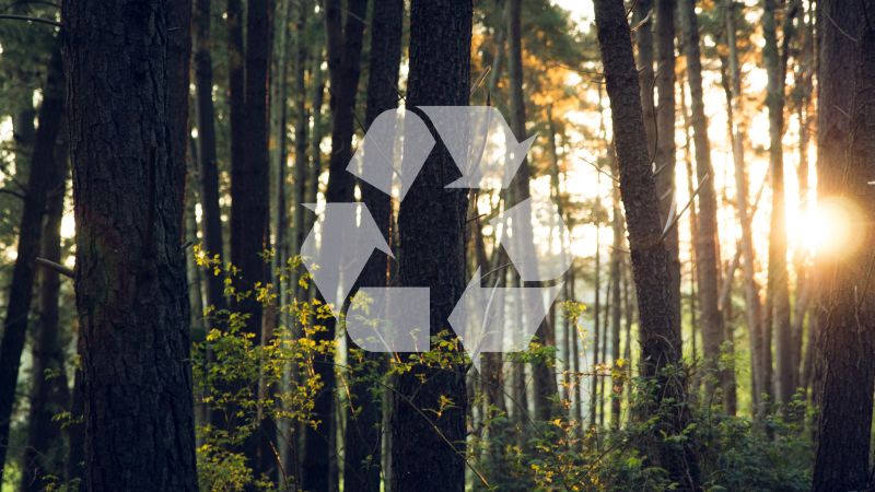 Ein Wald, darüber ein durchsichtiges Recycling-Symbol.