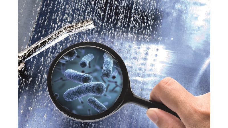 Vor allem unter der Dusche ist die Gefahr einer Infektion mit Legionellen am größten.