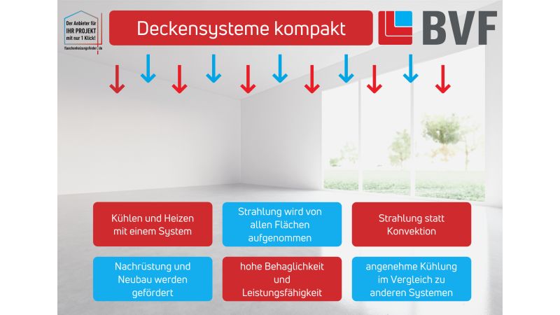 DAs Bild zeigt ein Schema/Grafik Deckensysteme.