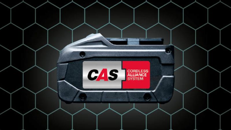 Das Bild zeigt das CAS-Logo.