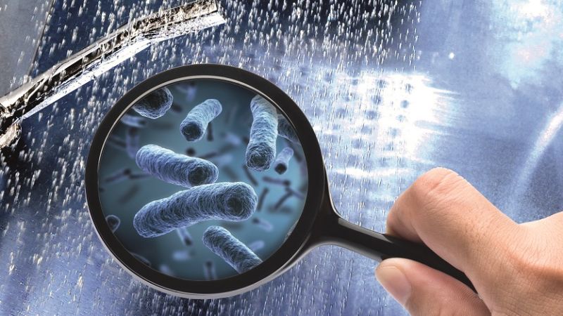 Bild zeigt Legionellen in Duschwasser
