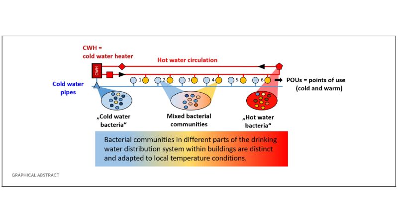 Grafik zeigt: Bakterielle Gemeinschaften in verschiedenen Teilen der Trinkwasserinstallation unterscheiden sich je nach Wassertemperatur. 