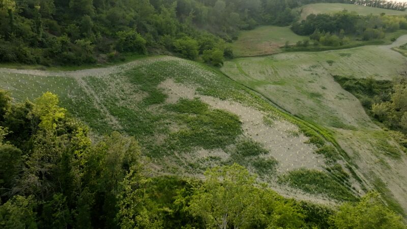 Beispiel für eine Biodiversitäts-Oase von „3Bee“, hier in Gaminara (Pavia), Italien.