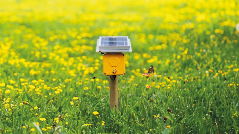 „Spectrum“, der Sensor für Wildtiere.