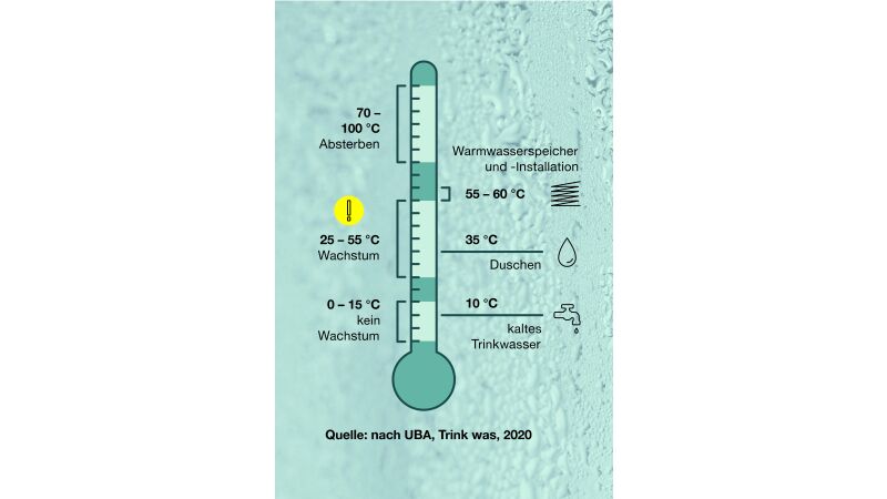 Die Grafik zeigt ein Legionellenwachstum anhand von Temperaturen.