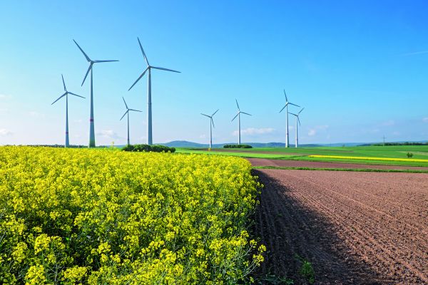 Windräder neben einem Feld gewinnen regenerative Energie durch Windkraft.