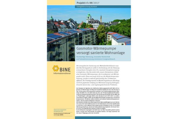Das Cover der BINE-Projektinfo 