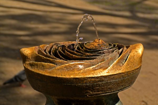 (Im) Wasser ist Leben… manchmal mehr, als dem Dürstenden lieb ist. Ein Merkblatt des BfR hilft, riskante Verkeimung in Wasserspendern zu vermeiden. 