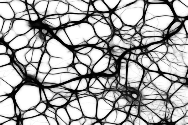 Ein neuronales Netz.